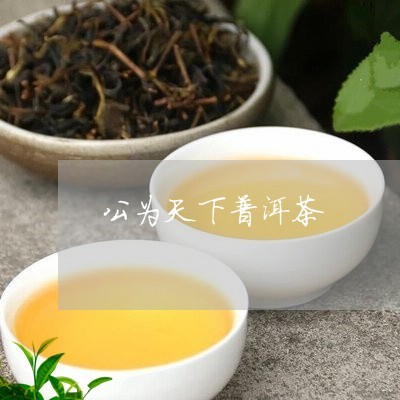 公為天下普洱茶與天下為公酒價(jià)格解析及代理銷售指南